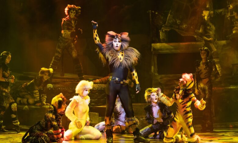 2023 《貓 CATS》全本音樂劇將在台灣演出 40 場。(圖:寬宏藝術)
