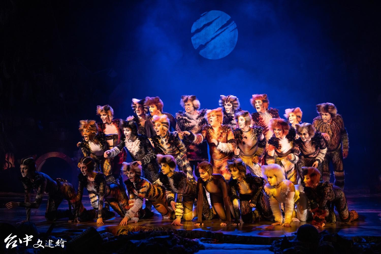 2023 《貓 CATS》全本音樂劇將在台灣演出 40 場。（圖：寬宏藝術）
