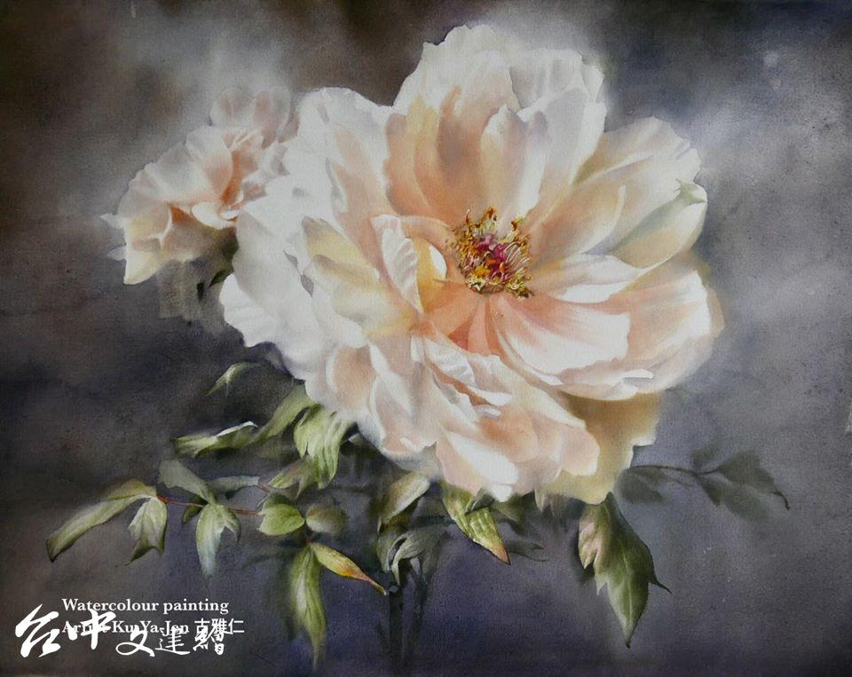 古雅仁曾獲國際 IWS X Paul Rubens 水彩封面榮譽獎(2018),〈牡丹 Peony〉,56 X 76 公分,2020。